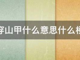 穿山甲什么意思什么梗 