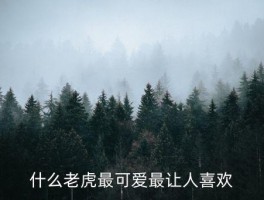 可爱小老虎，什么老虎最可爱最让人喜欢 