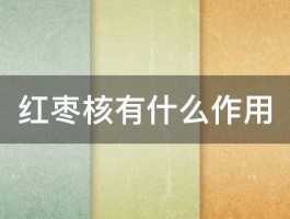 红枣核有什么作用 