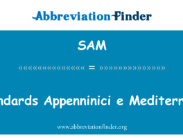 标准 Appenninici e 菌英文定义是Standards Appenninici e Mediterranei,首字母缩写定义是SAM-赫比英文缩写词查询工具