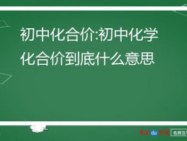 初中化合价:初中化学化合价到底什么意思