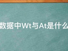 实验数据中Wt与At是什么意思 