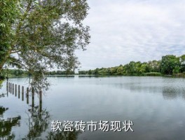 软瓷砖市场怎么样,软质瓷砖市场表现如何？ 