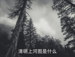 清明上河，清明上河图是什么 