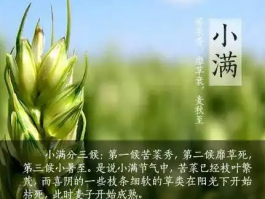 小满节气含义是什么(小满节气的来历的简介)