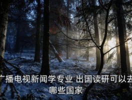 传媒出国留学还是考研,考研失败后出国留学还来得及吗? 