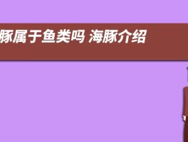 海豚属于鱼类吗 海豚介绍