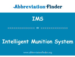 智能弹药系统英文定义是Intelligent Munition System,首字母缩写定义是IMS-赫比英文缩写词查询工具