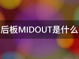 功放后板MIDOUT是什么意思 