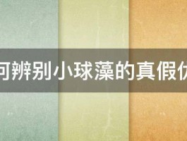 如何辨别小球藻的真假优劣 