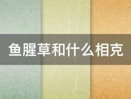 鱼腥草和什么相克 