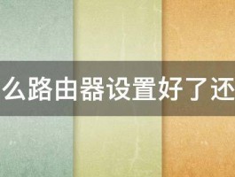 为什么路由器设置好了还没网 