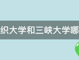 武汉纺织大学和三峡大学哪个更好 