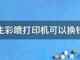 爱普生彩喷打印机可以换针头吗 