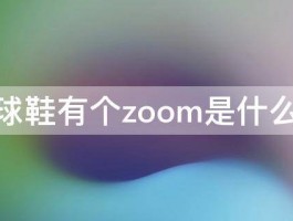 科比球鞋有个zoom是什么意思 