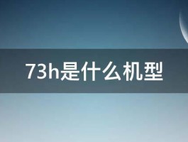 73h是什么机型 