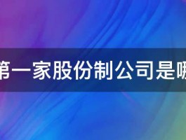 世界第一家股份制公司是哪一家 