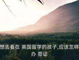 英国签证探亲表格填哪个 