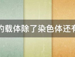 基因的载体除了染色体还有什么 