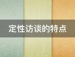 定性访谈的特点 