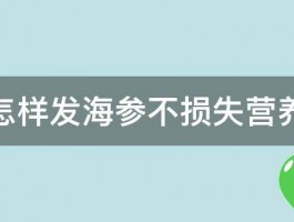 怎样发海参不损失营养 