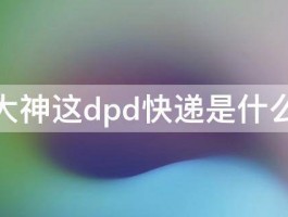 各位大神这dpd快递是什么情况 