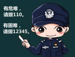 包含故意损坏财物直接打110可以吗的词条