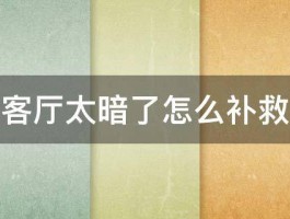 客厅太暗了怎么补救 