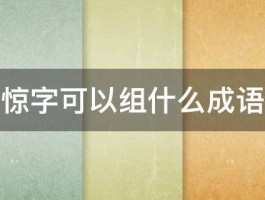 惊字可以组什么成语 