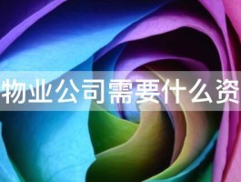 开物业公司需要什么资质 