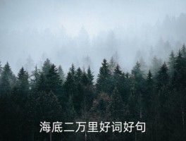 海底两万里的好词好句摘抄，海底二万里好词好句 