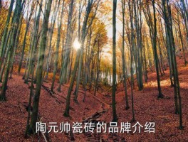 陶元帅瓷砖怎么样,陶元帅瓷砖的质量如何？ 