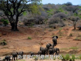 舟过安仁的意思，舟过安仁的意思是什么 