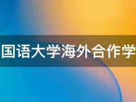 上海外国语大学海外合作学院好吗 