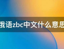 俄语zbc中文什么意思 