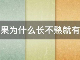 无花果为什么长不熟就有掉的 