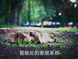 上阵的房子怎么样,上阵房子的特点简介 