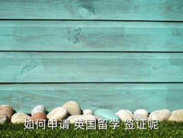 学生去英国旅游签证要求,学生申请英国旅游签证需要什么资料 