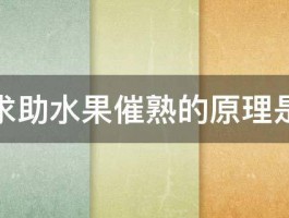 紧急求助水果催熟的原理是什么 