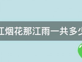 那江烟花那江雨一共多少集 