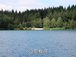 佛山三星装饰公司怎么样,浅议佛山三星装饰公司的表现 