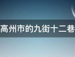 广东省高州市的九街十二巷分别指 