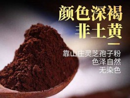 灵芝粉灵芝孢子粉的区别的简单介绍