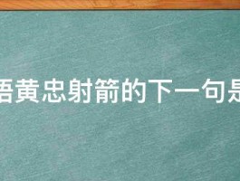 歇后语黄忠射箭的下一句是什么 