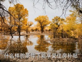 住房补贴标准，什么样的条件下能享受住房补贴 