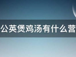 蒲公英煲鸡汤有什么营养 