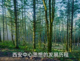 西安中心思想怎么样,新时代西安中心思想的发展历程 