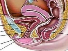 盆腔积液和盆腔炎区别？盆腔积液就是盆腔炎吗？