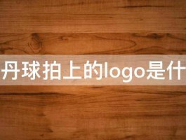 林丹球拍上的logo是什么 