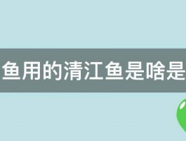 求助烤鱼用的清江鱼是啥是什么鱼 